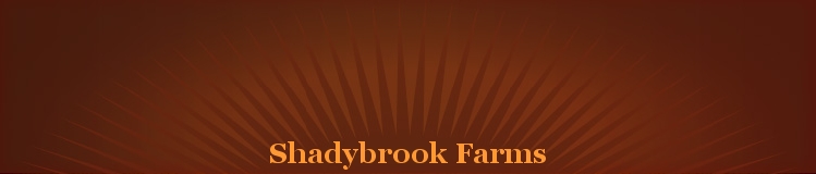 home page